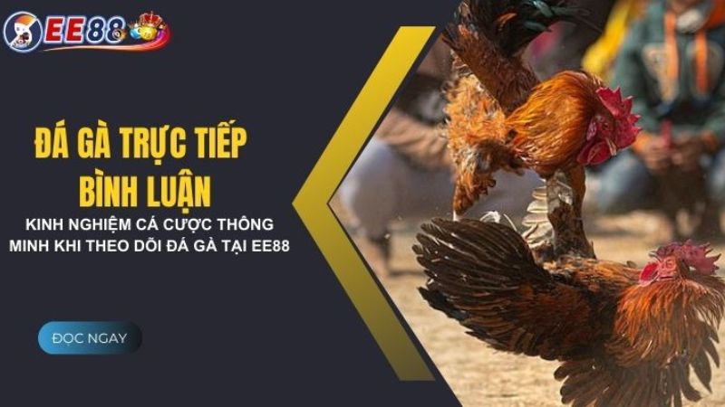 Những hình thức cược đá gà trên nhà cái EE88